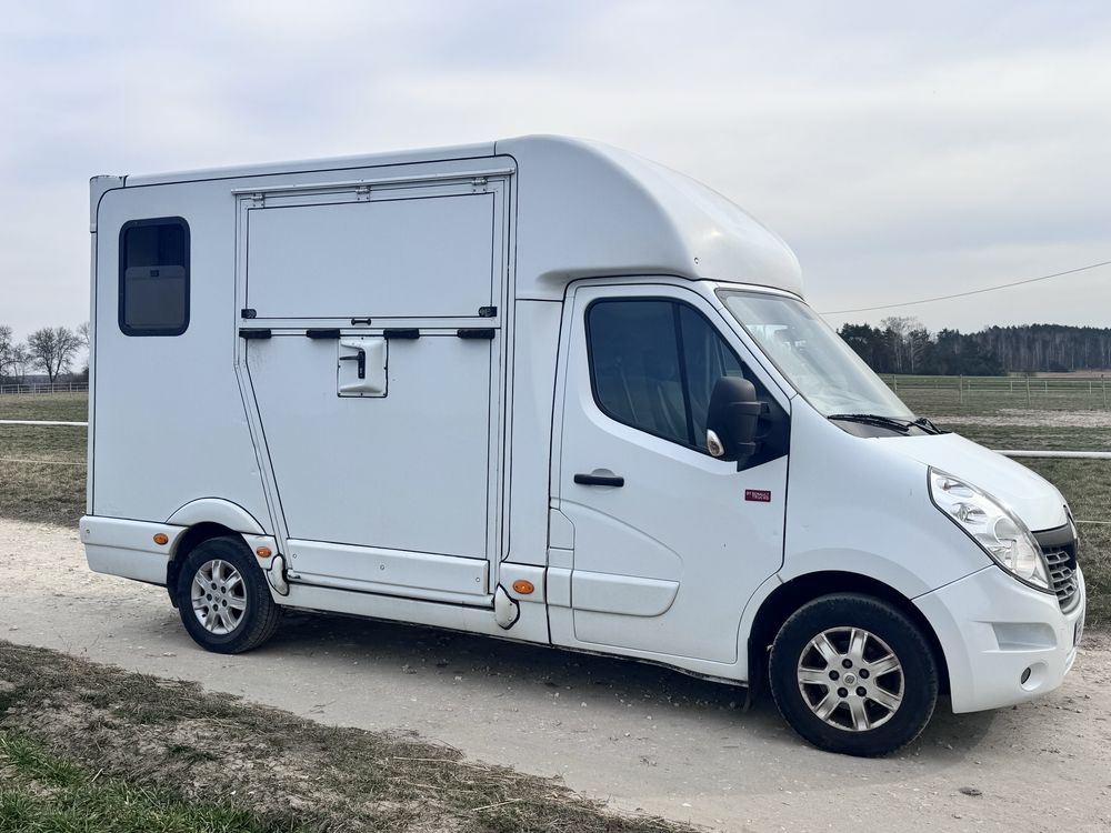 Renault Master koniowóz 2.3 diesel 165 KM do przewozu koni zwierzat FV