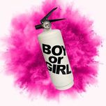 Білий Балон 1 кг. для Gender Party, ОПТ баллон с холи для гендер пати