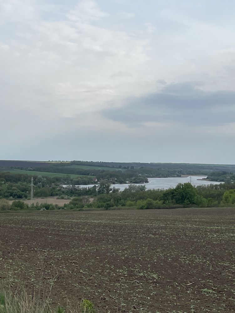 Дача, Антонівські ставки, Новоолександрівка