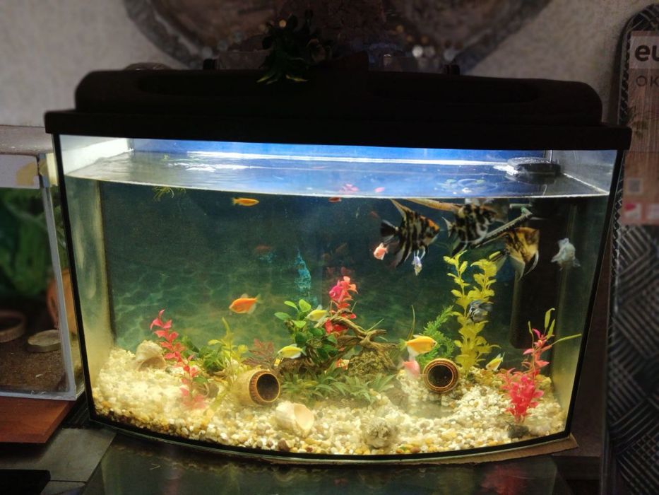 Продам Аквариум
