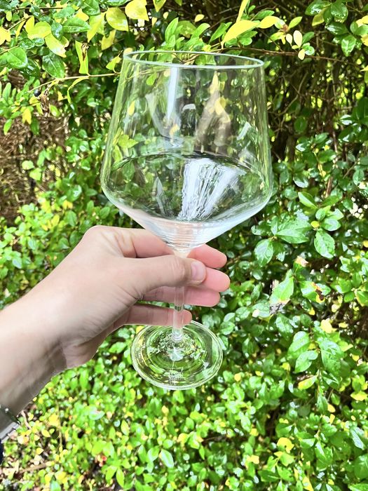 Бокали Scott Zwiesel