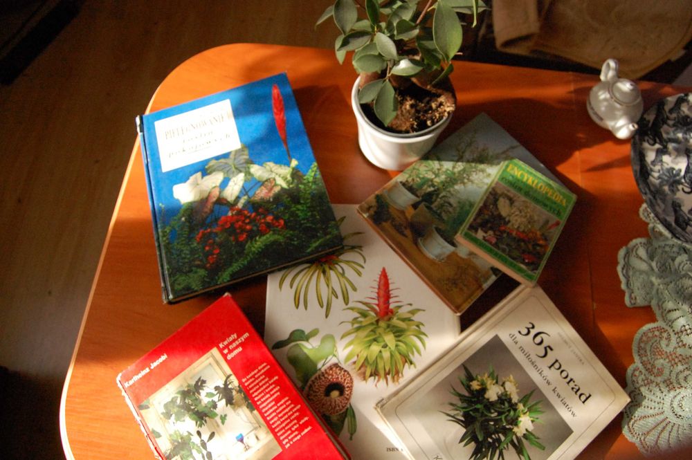 Kieszonkowa encyklopedia praktycznej uprawy roślin domowych.