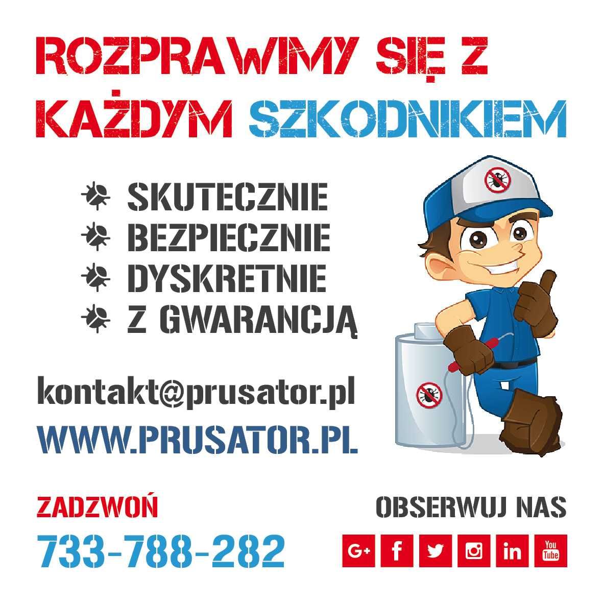 SZCZYPCE DO USUWANIA kleszczy karta z lupą kleszcze dla psa kota ludzi