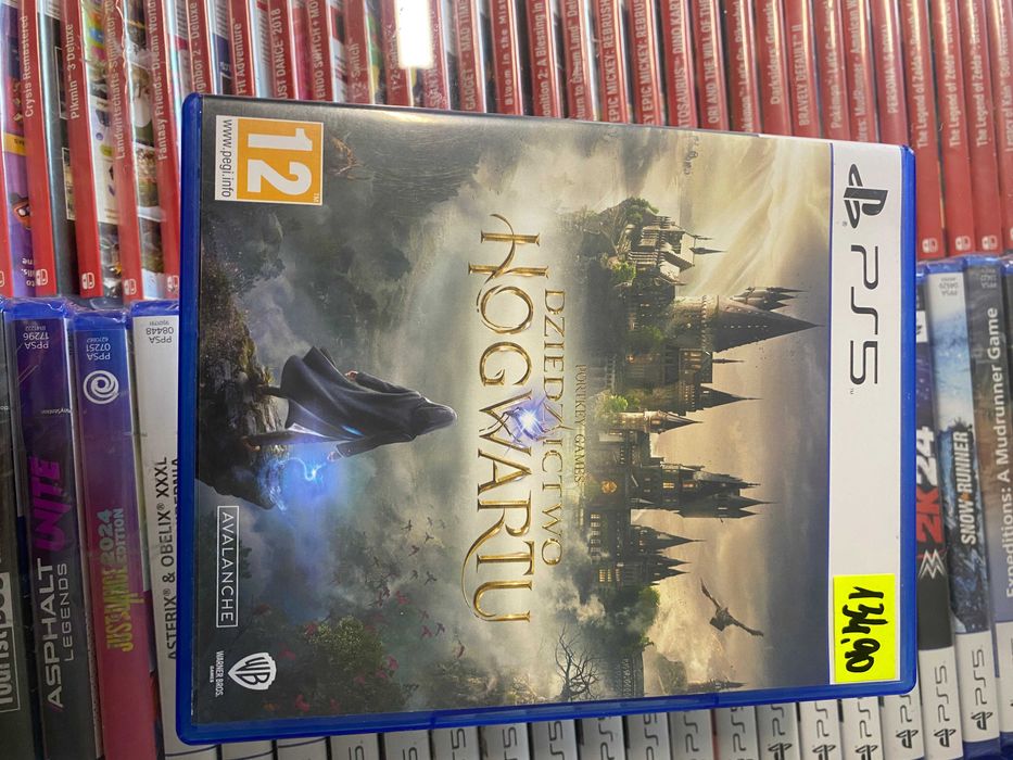 Dziedzictwo Hogwartu [PS5] PL