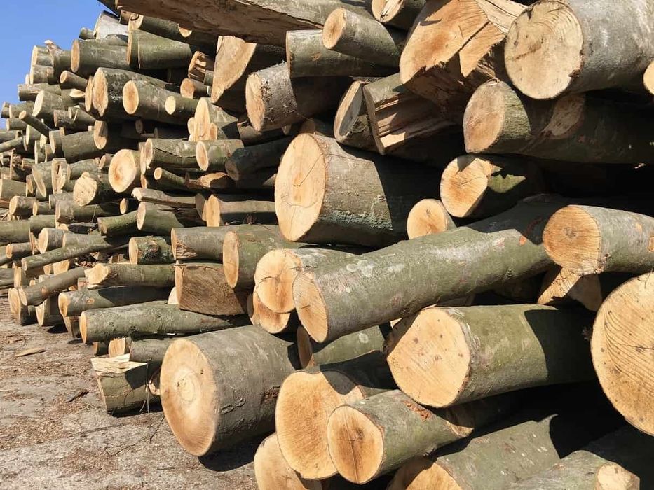 Drewno kominkowe, opałowe buk dąb