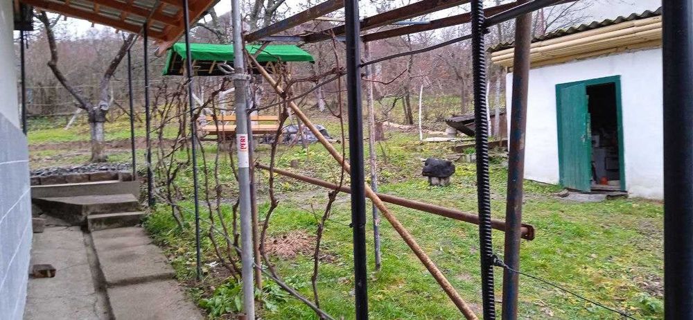 Здається Дім(дача) біля лісу та озера для житла і вдаленої роботи