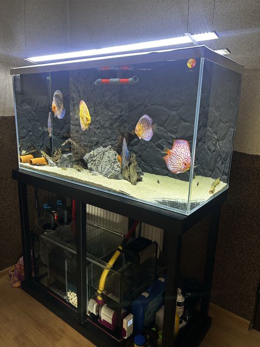 Akwarium 360L plus sump