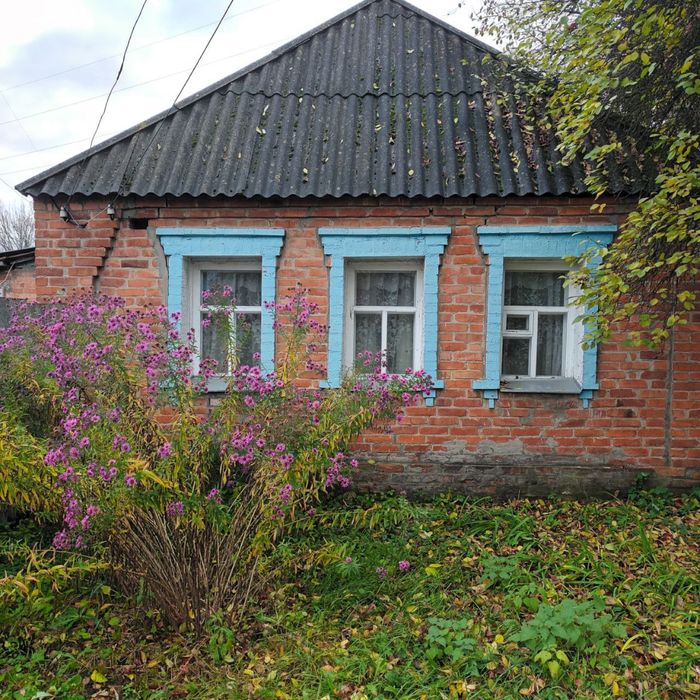 Від власника. Будинок, Верхня Сироватка