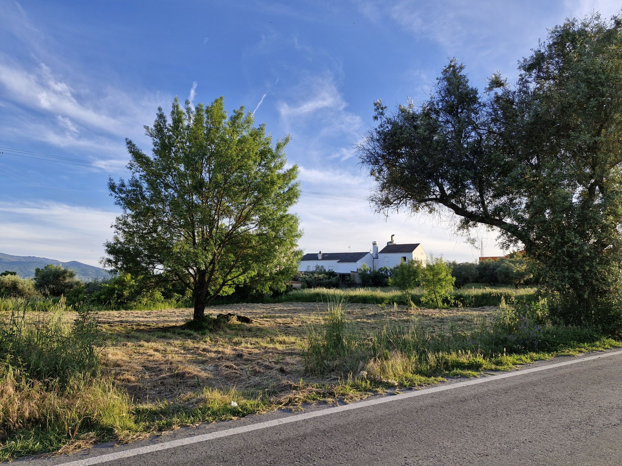 Terreno Urbano de Baixa Densidade em Alcaria