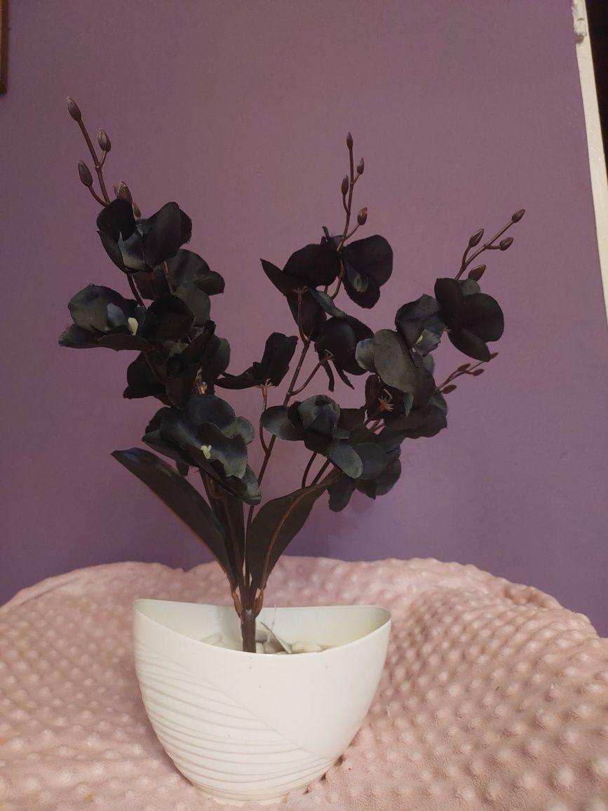 Niwy czarny storczyk pięcio-pędowy orchidea kwiaty sztuczne