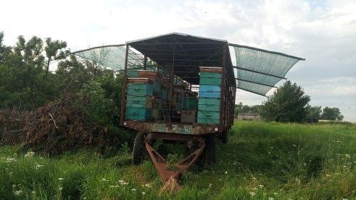 Бджоловіз, бджолопавільйон, причеп (лафет з дахом) для пасіки