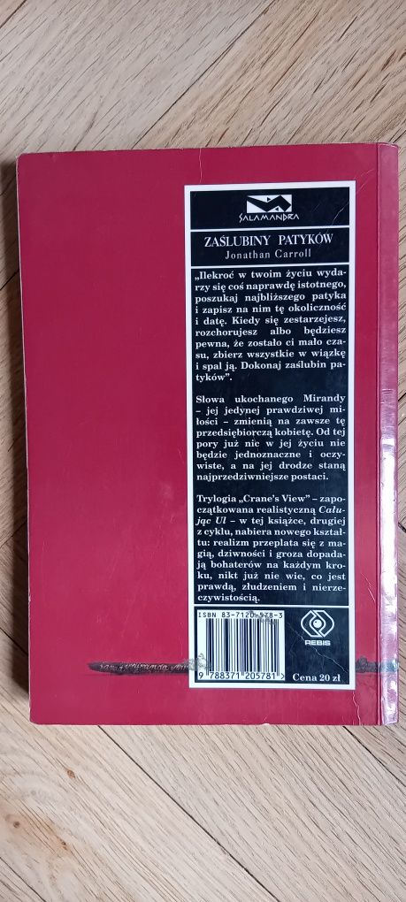 Książka "Zaślubiny patyków" Jonathan Carroll