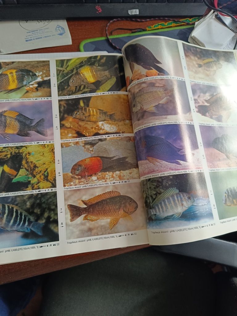 Atlas de peixes de aquario