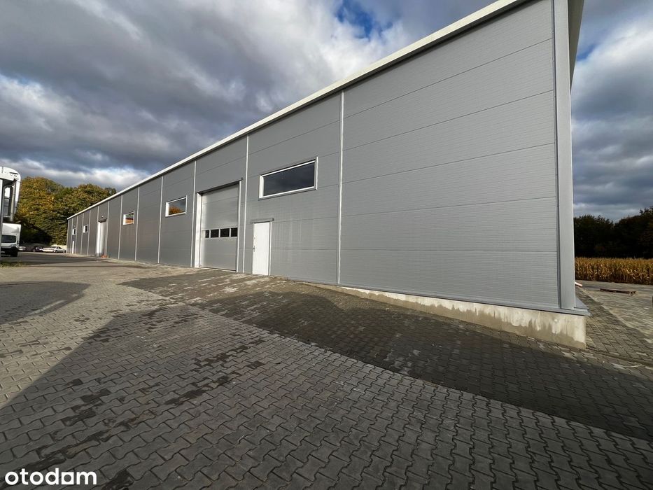 Wynajmę magazyn / halę Ożarów Mazowiecki