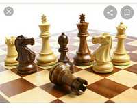 Уроки по шахматам любой уровень