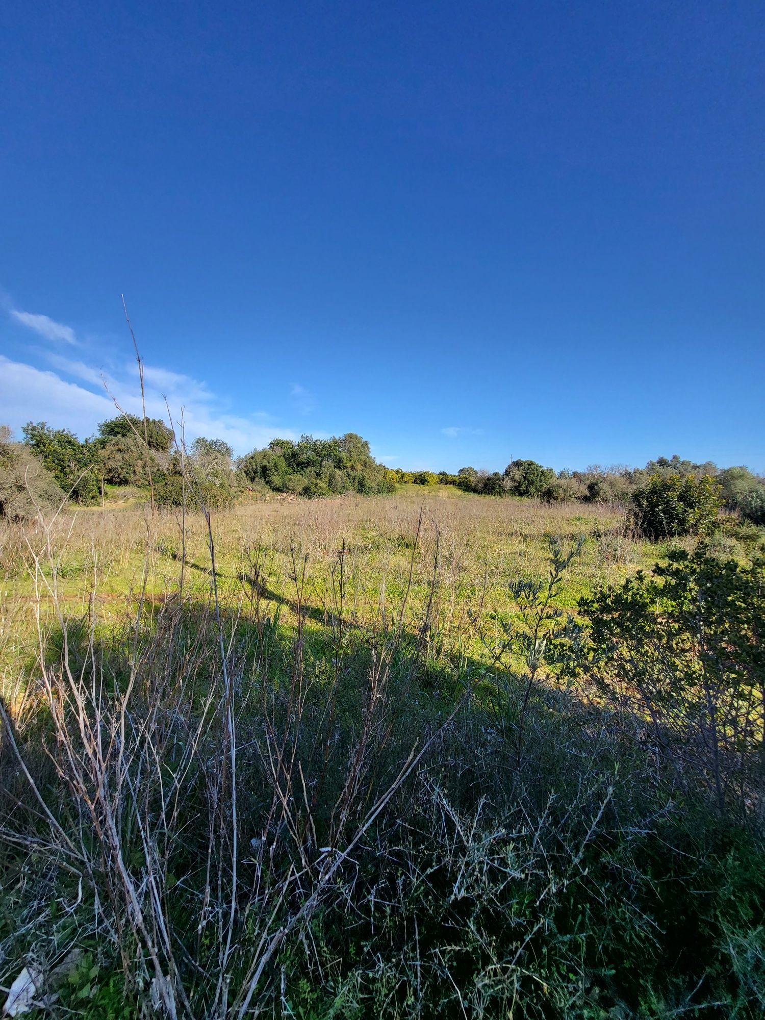 Vende-se Terreno
