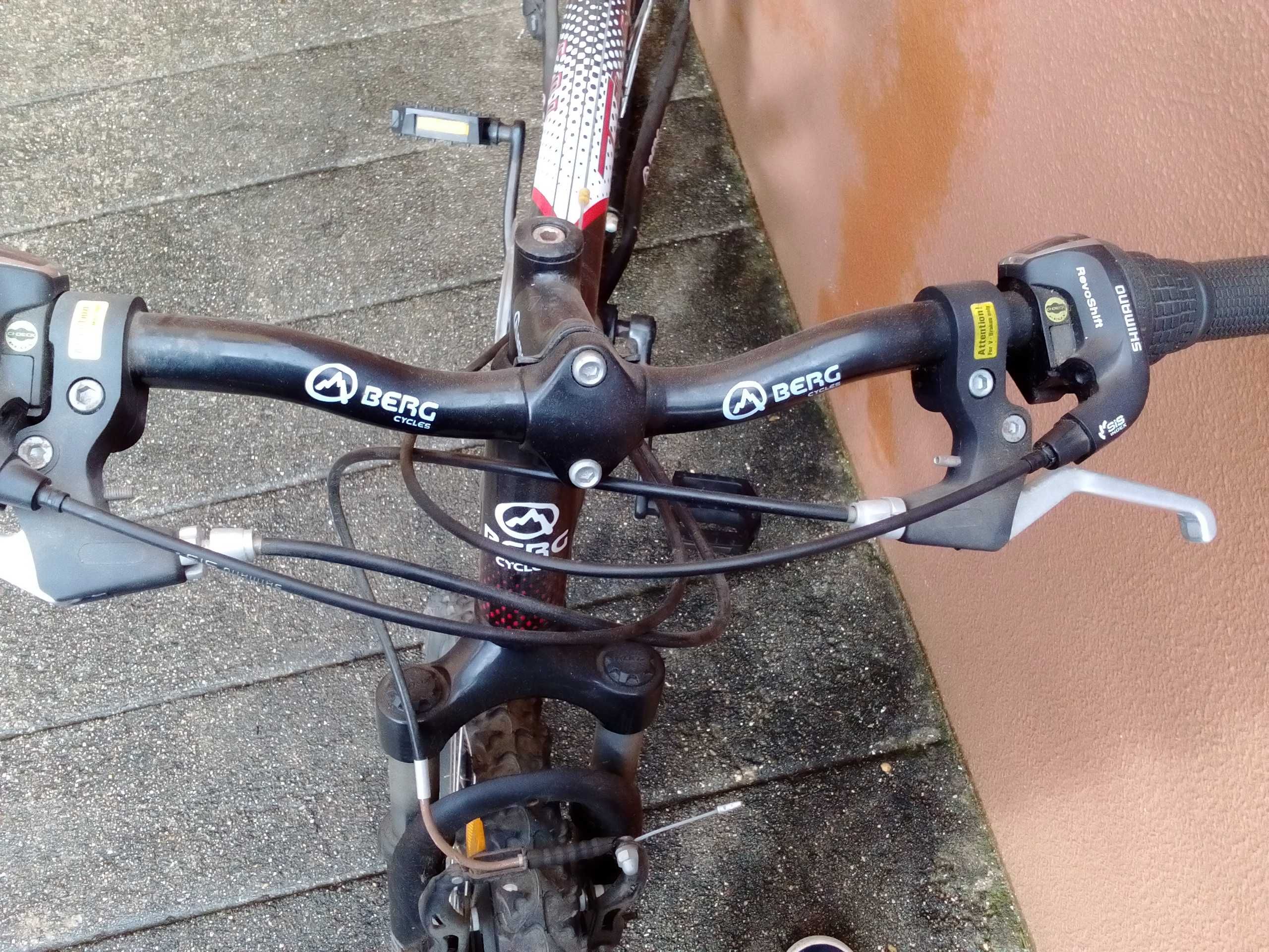 Bicicleta BERG de adulto