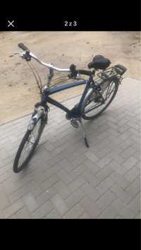 Gazelle Fuente 28”