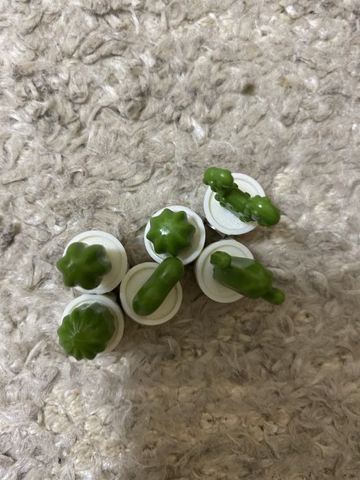 Vasinhos com cactos mini