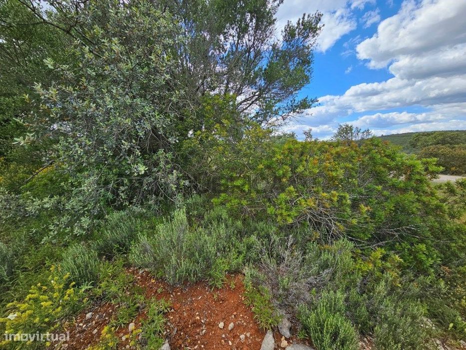 Terreno rústico junto a estrada a 5 minutos de Loulé