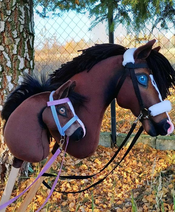Ciemnogniady konik Hobby Horse A3 + sprzęt finland