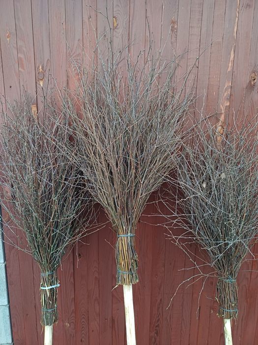 Віник мітла з берези