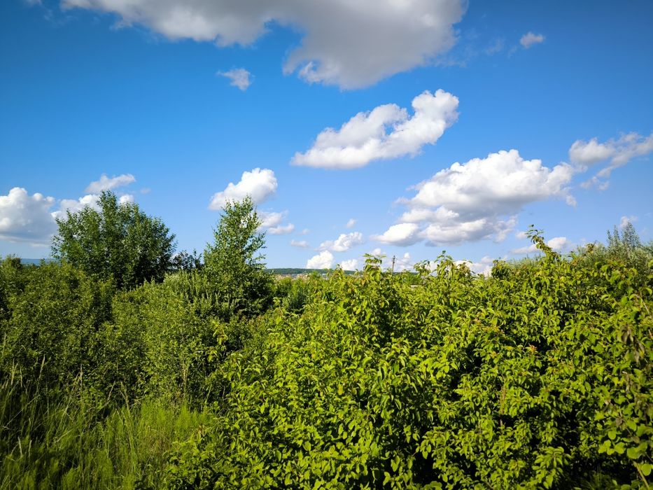 Розчистка зімельних ділянок, очищення ділянки, покос трави, рубка дере