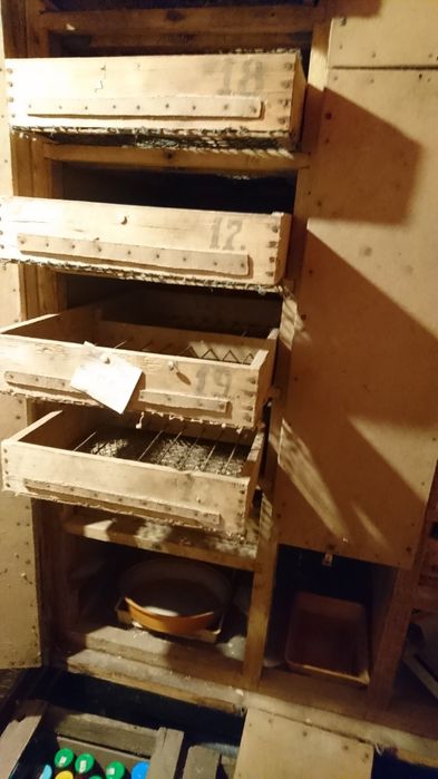 Інкубатор для виведення птиці