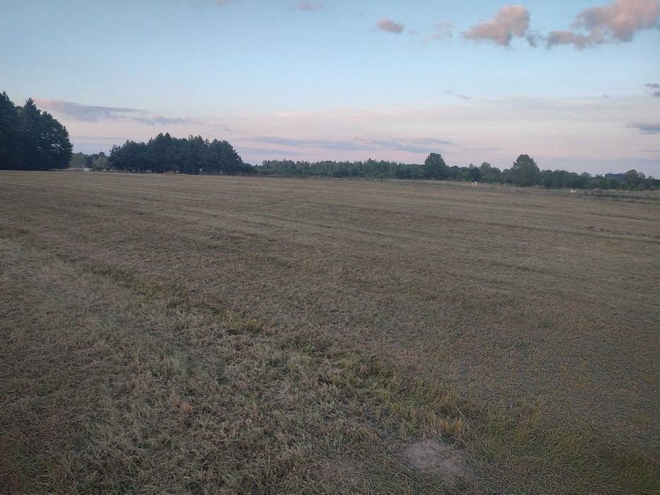 Sprzedam działkę budowlaną Stare Załubice