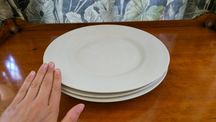 Louça com a Alma de um Restaurante: Pratos em Perfeito Estado!