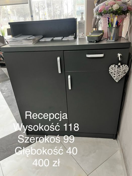 Wyposażenie Fryzjerskie