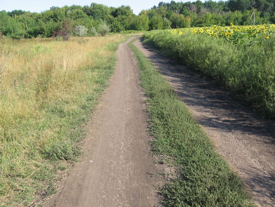 Пай 4.68 га Київська обл.