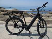 Bike elétrica Giant cidade 1 mes uso