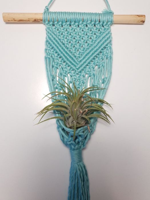 Mini suporte plantas aéreas macramé