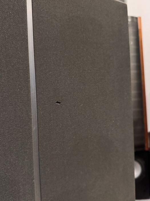 Bang Olufsen b&o kolumny pasywne RL 60.2 Red Line