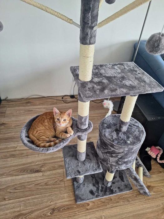 NOWY Drapak Dla Kota Wieża Domek Legowisko 5 Poziomów 138cm