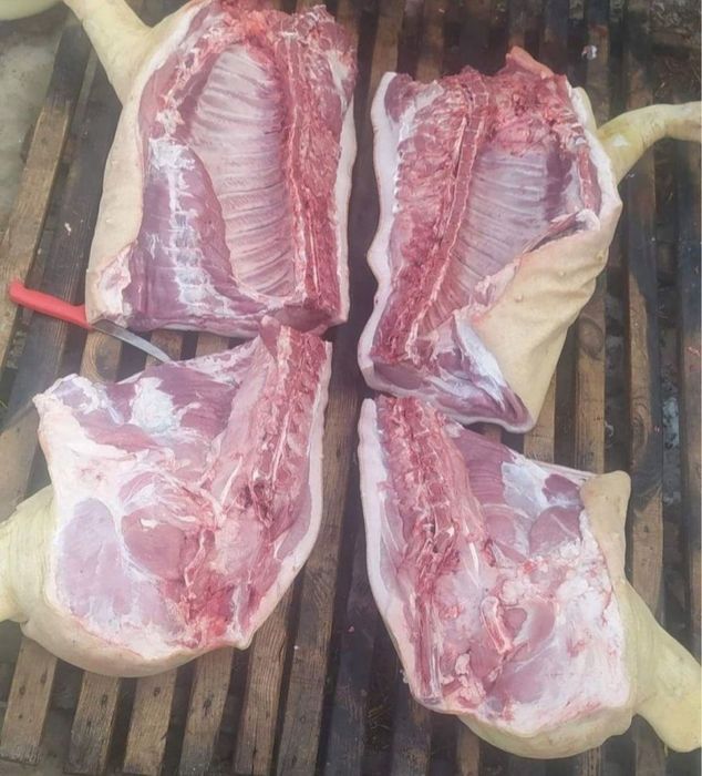 Продам свинину полутушами