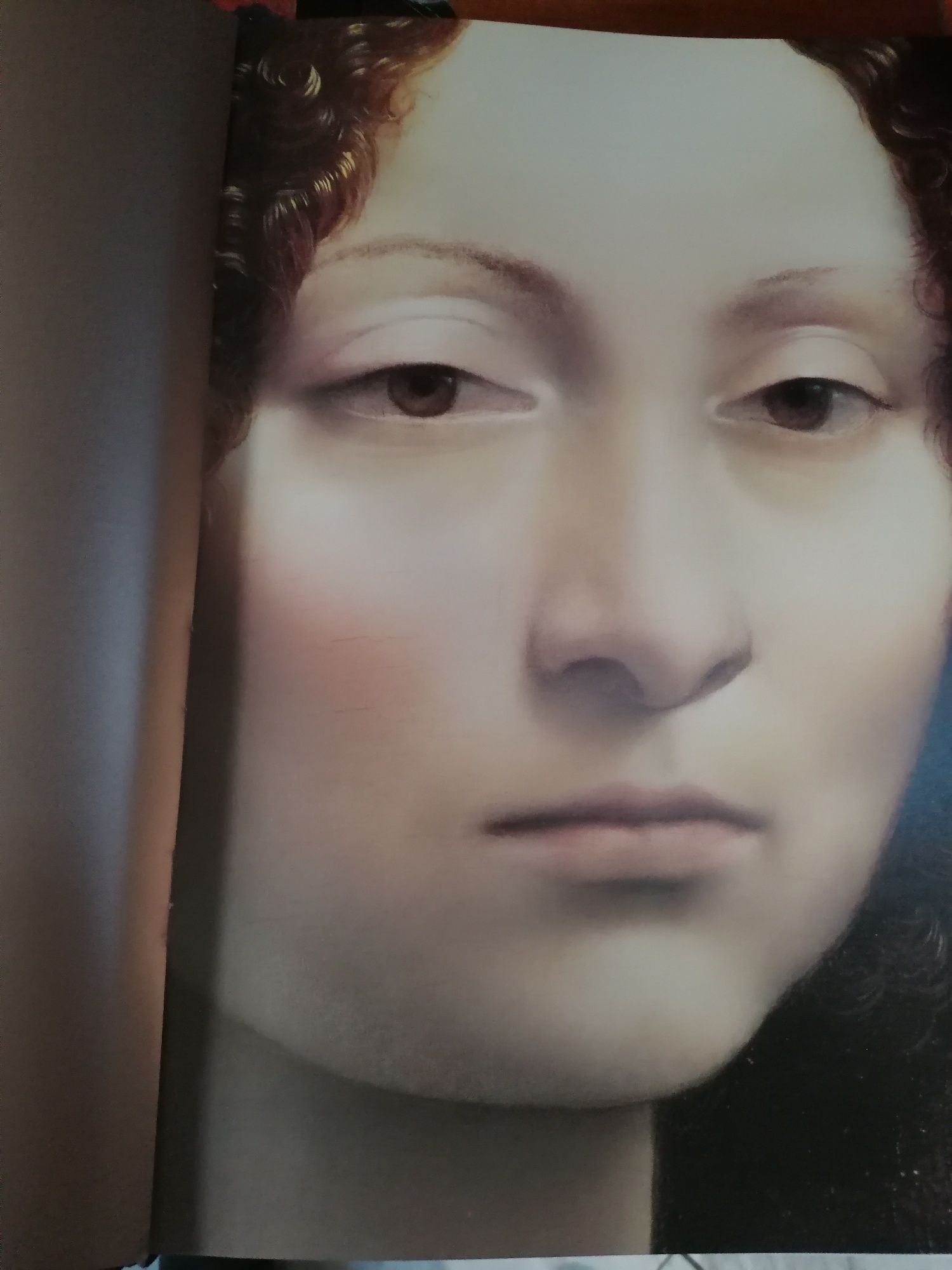 Leonardo da Vinci pintura completa