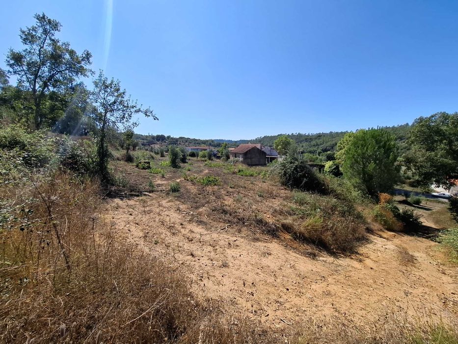 Quinta urbana (520m2) e rustica (26970m2) em Ceras / Tomar