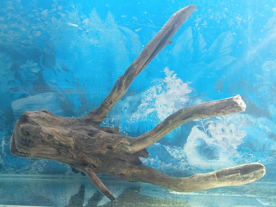 Коряга, топняк, декор в аквариум, тераріум середнього і більше розміру