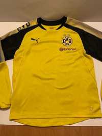 Bluza piłkarska Borussia Dortmund Puma XL młodzieżowe 164 cm