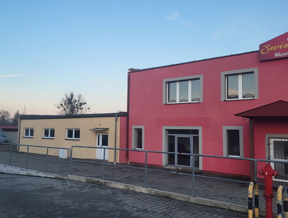 Wynajmę lokale handlowo usług. Pomieszczenia biurowe , halę magaz.