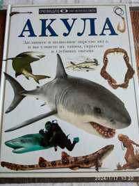 Книга Акула, дельфины, киты