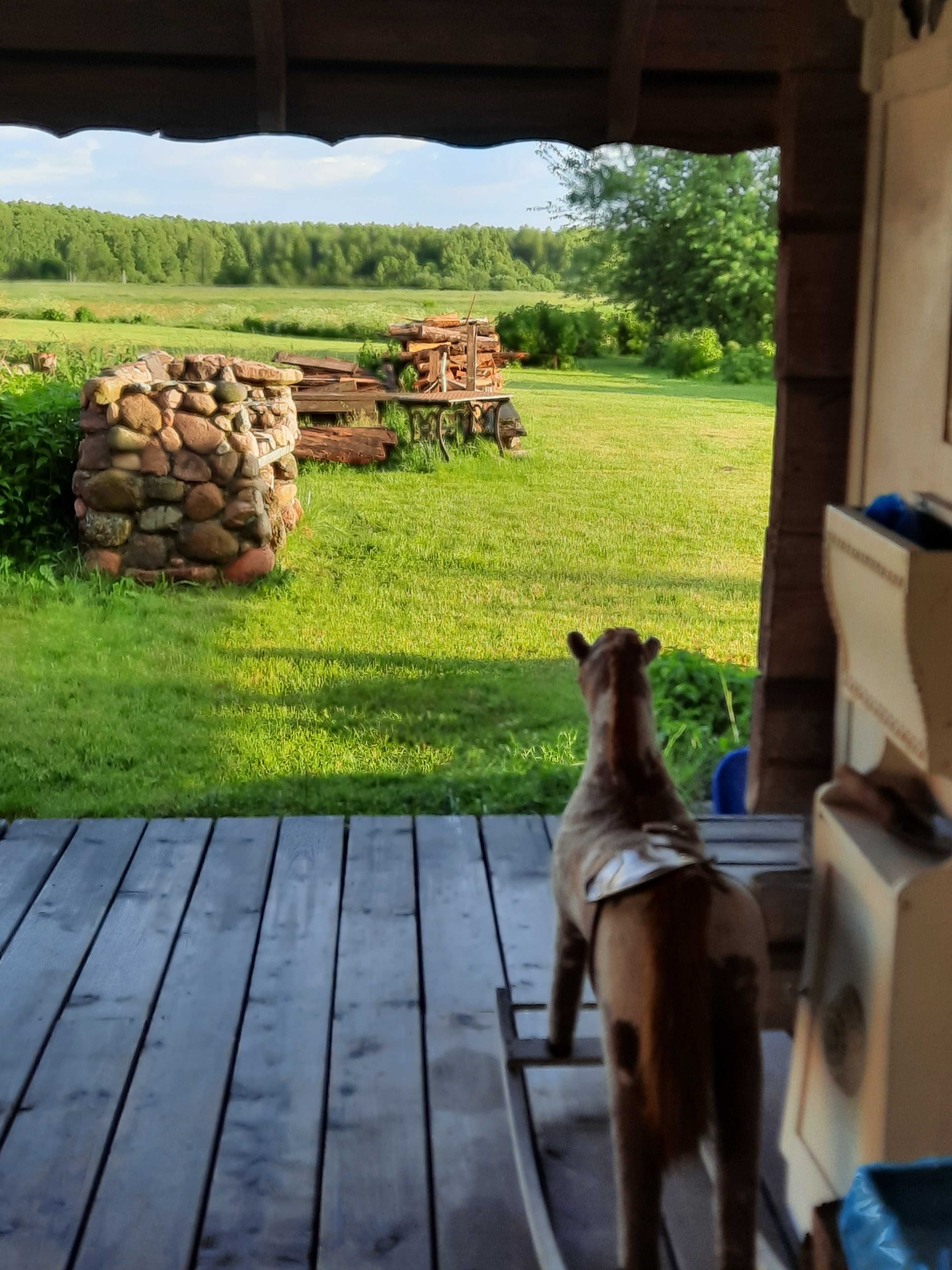 Noclegi Podlasie Borki Supraśl WOLNY WEEKEND WAKACJE