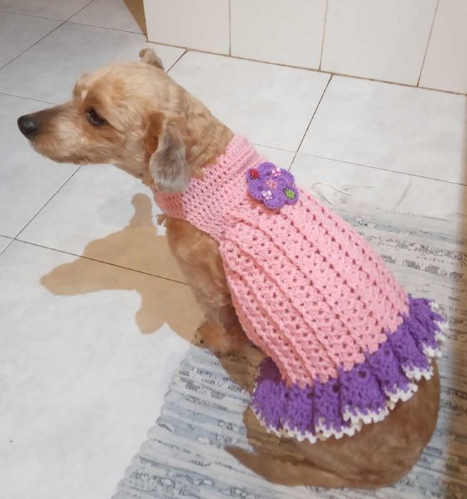 Vestidos pet em croché