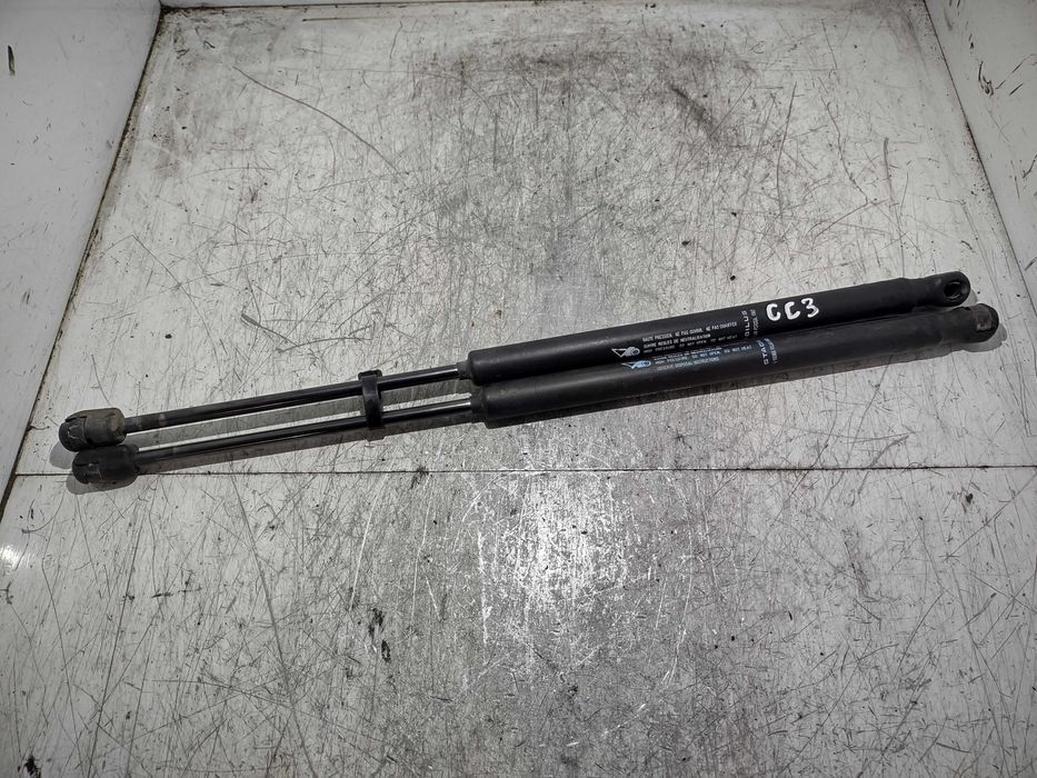 Siłowniki klapy bagażnika CITROEN C3