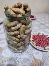 Арахіс в шкарлупі 1л сирий насіння арахис семена земляного ореха