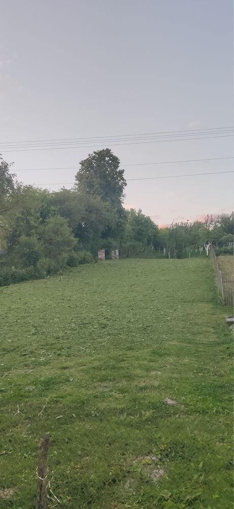 Покіс трави та бур'янів. Косіння трави кущів, стрижка кущів