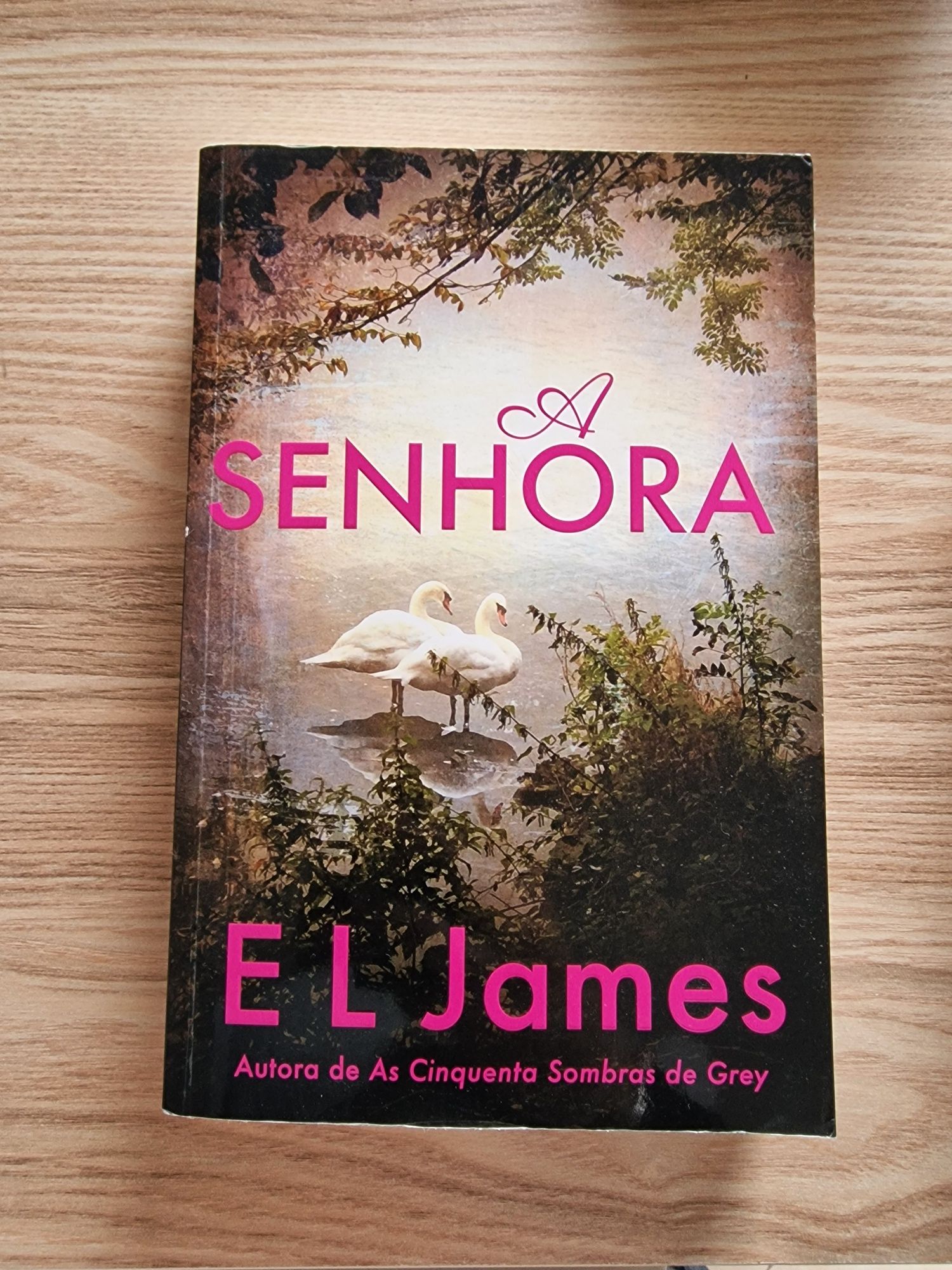 A senhora de EL James