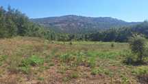 Terreno rústico com 6985 m2 para exploração.